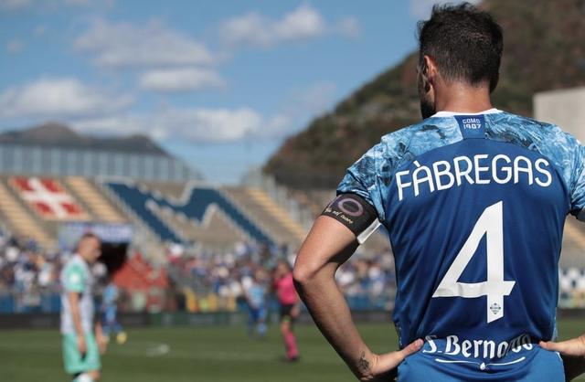 还揭示了属 还揭示了属