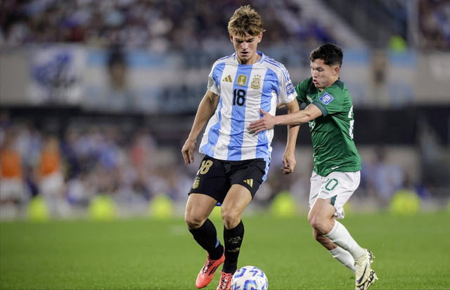 其中有些球 其中有些球