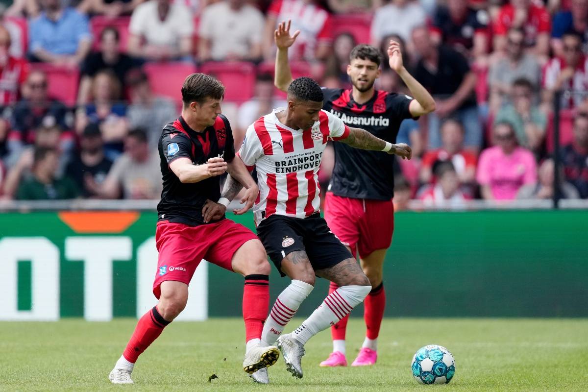 带来了可观 带来了可观